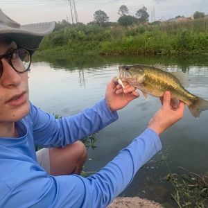 Meet your Posher, Hudson